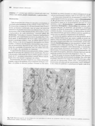 Junqueira &amp; carneiro   biologia celular e molecular