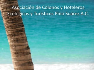 Asociación de Colonos y Hoteleros Ecológicos y Turísticos Pino Suárez A.C. 