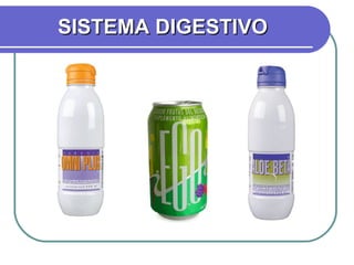 SISTEMA DIGESTIVO 