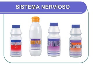 SISTEMA NERVIOSO 