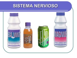 SISTEMA NERVIOSO 