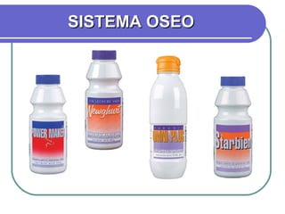 SISTEMA OSEO 
