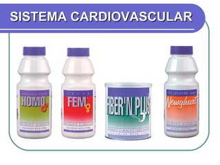 SISTEMA CARDIOVASCULAR 
