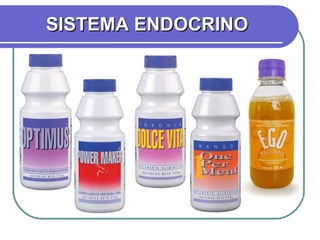 SISTEMA ENDOCRINO 