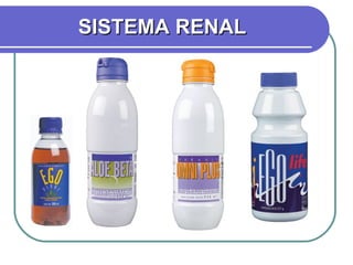 SISTEMA RENAL 