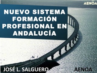 NUEVO SISTEMA 
FORMACIÓN 
PROFESIONAL EN 
ANDALUCÍA 
JOSÉ L. SALGUERO --- AENOA1 
 