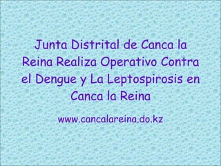 Junta Distrital de Canca la Reina Realiza Operativo Contra el Dengue y La Leptospirosis en Canca la Reina www.cancalareina.do.kz 