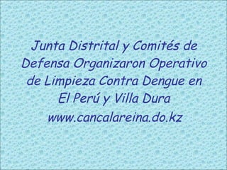 Junta Distrital y Comités de Defensa Organizaron Operativo de Limpieza Contra Dengue en El Perú y Villa Dura www.cancalareina.do.kz 
