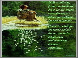 El día establecido, frente a la tienda del brujo, los dos jóvenes esperaban con las bolsas que contenían las aves solicitadas. El viejo les pidió que con mucho cuidado las sacaran de las bolsas...eran verdaderamente hermosos ejemplares... 