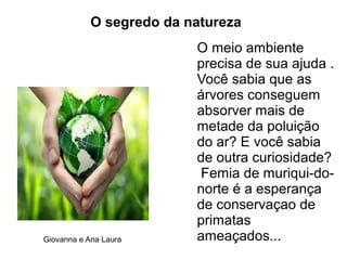 O segredo da natureza
O meio ambiente
precisa de sua ajuda .
Você sabia que as
árvores conseguem
absorver mais de
metade da poluição
do ar? E você sabia
de outra curiosidade?
Femia de muriqui-do-
norte é a esperança
de conservaçao de
primatas
ameaçados...Giovanna e Ana Laura
 