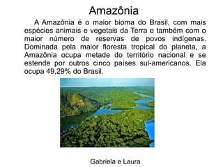 A Amazônia é o maior bioma do Brasil, com mais
espécies animais e vegetais da Terra e também com o
maior número de reservas de povos indígenas.
Dominada pela maior floresta tropical do planeta, a
Amazônia ocupa metade do território nacional e se
estende por outros cinco países sul-americanos. Ela
ocupa 49,29% do Brasil.
Gabriela e Laura
Amazônia
 
