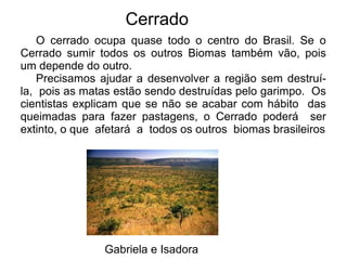 Cerrado
Gabriela e Isadora
O cerrado ocupa quase todo o centro do Brasil. Se o
Cerrado sumir todos os outros Biomas também vão, pois
um depende do outro.
Precisamos ajudar a desenvolver a região sem destruí-
la, pois as matas estão sendo destruídas pelo garimpo. Os
cientistas explicam que se não se acabar com hábito das
queimadas para fazer pastagens, o Cerrado poderá ser
extinto, o que afetará a todos os outros biomas brasileiros
 