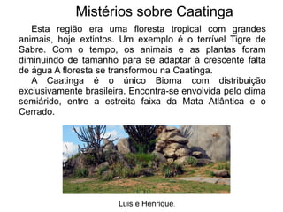 Mistérios sobre Caatinga
Luis e Henrique.
Esta região era uma floresta tropical com grandes
animais, hoje extintos. Um exemplo é o terrível Tigre de
Sabre. Com o tempo, os animais e as plantas foram
diminuindo de tamanho para se adaptar à crescente falta
de água A floresta se transformou na Caatinga.
A Caatinga é o único Bioma com distribuição
exclusivamente brasileira. Encontra-se envolvida pelo clima
semiárido, entre a estreita faixa da Mata Atlântica e o
Cerrado.
 