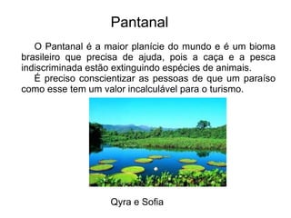 O Pantanal é a maior planície do mundo e é um bioma
brasileiro que precisa de ajuda, pois a caça e a pesca
indiscriminada estão extinguindo espécies de animais.
É preciso conscientizar as pessoas de que um paraíso
como esse tem um valor incalculável para o turismo.
Pantanal
Qyra e Sofia
 