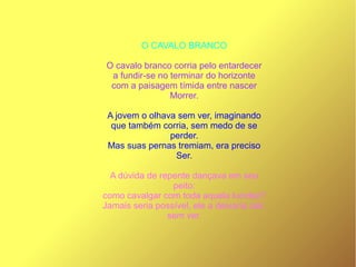 O CAVALO BRANCO
O cavalo branco corria pelo entardecer
a fundir-se no terminar do horizonte
com a paisagem tímida entre nascer
Morrer.
A jovem o olhava sem ver, imaginando
que também corria, sem medo de se
perder.
Mas suas pernas tremiam, era preciso
Ser.
A dúvida de repente dançava em seu
peito:
como cavalgar com toda aquela lucidez?
Jamais seria possível, ele a deixaria cair,
sem ver.
 
