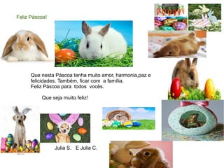 Que nesta Páscoa tenha muito amor, harmonia,paz e
felicidades. Também, ficar com a família.
Feliz Páscoa para todos vocês.
Julia S. E Julia C.
Feliz Páscoa!
Que seja muito feliz!
 