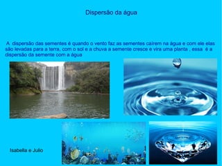 Dispersão da água
A dispersão das sementes é quando o vento faz as sementes caírem na água e com ele elas
são levadas para a terra, com o sol e a chuva a semente cresce e vira uma planta , essa é a
dispersão da semente com a água
Isabella e Julio
 