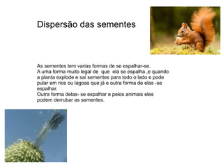 Dispersão das sementes
As sementes tem varias formas de se espalhar-se.
A uma forma muito legal de que ela se espalha ,e quando
a planta explode e sai sementes para todo o lado e pode
pular em rios ou lagoas que já e outra forma de elas -se
espalhar.
Outra forma delas- se espalhar e pelos animais eles
podem derrubar as sementes.
 