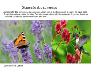 Dispersão das sementes
João Lucas e Letícia
A dispersão das sementes ,as sementes voam com a ajuda do vento e caem na água essa
flor é chamada de dente de leão. Outra forma de dispersão de sementes é com as frutas,os
animais comem as sementes e com isso eles
 