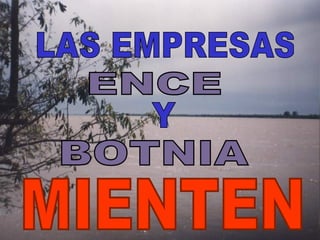 LAS EMPRESAS Y  MIENTEN ENCE BOTNIA 