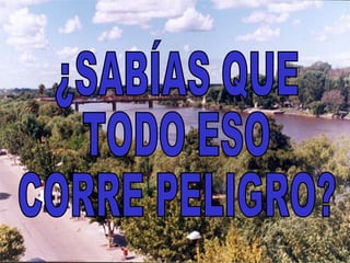 ¿SABÍAS QUE  TODO ESO  CORRE PELIGRO? 