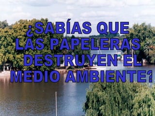 ¿SABÍAS QUE  LAS PAPELERAS DESTRUYEN EL MEDIO AMBIENTE? 