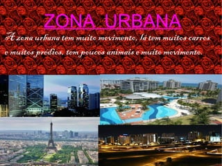 ZONA URBANA
A zona urbana tem muito movimento, lá tem muitos carros
e muitos prédios, tem poucos animais e muito movimento.
 