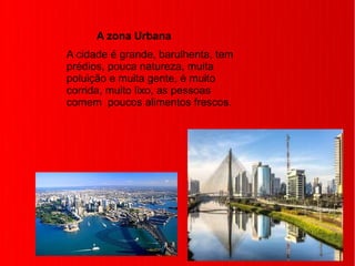 A cidade é grande, barulhenta, tem
prédios, pouca natureza, muita
poluição e muita gente, é muito
corrida, muito lixo, as pessoas
comem poucos alimentos frescos.
A zona Urbana
 
