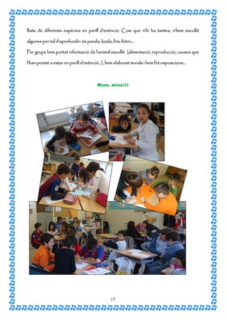 llista de diferents espècies en perill d’extinció. Com que n‘hi ha tantes, n’hem escollit

algunes per tal d’aprofundir: ós panda, koala, linx ibèric…

Per grups hem portat informació de l’animal escollit (alimentació, reproducció, causes que

l’han portat a estar en perill d’extinció…), hem elaborat murals i hem fet exposicions…



                                      Mireu, mireu!!!




                                              17
 