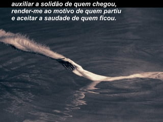 auxiliar a solidão de quem chegou, render-me ao motivo de quem partiu e aceitar a saudade de quem ficou. 