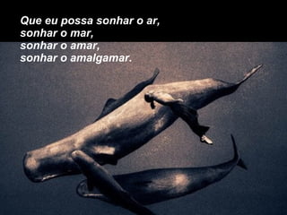 Que eu possa sonhar o ar, sonhar o mar, sonhar o amar, sonhar o amalgamar. 