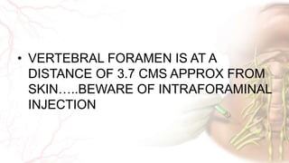 Intraforaminal Injection Anatomy of Brachial plexus | PPTX