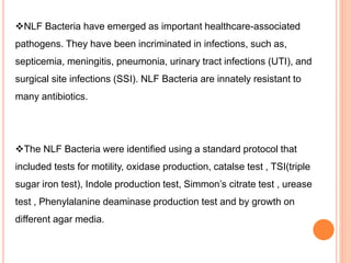 ISOLATION AND IDENTIFICATION OF NLF BACTERIA IN VARIOUS SAMPLES.
