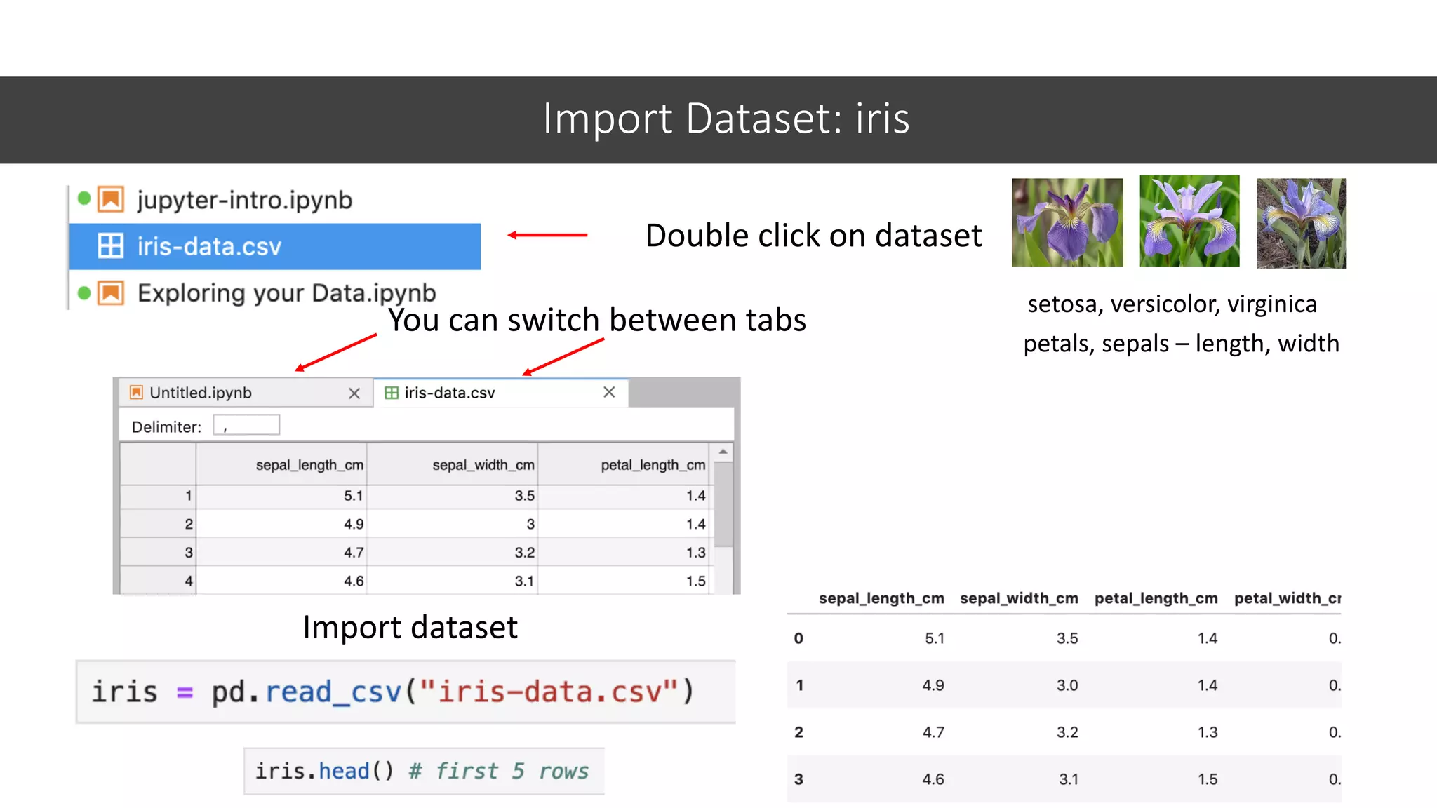 Import Dataset: iris
Double click on dataset
30
You can switch between tabs
Import dataset
setosa, versicolor, virginica
petals, sepals – length, width
 