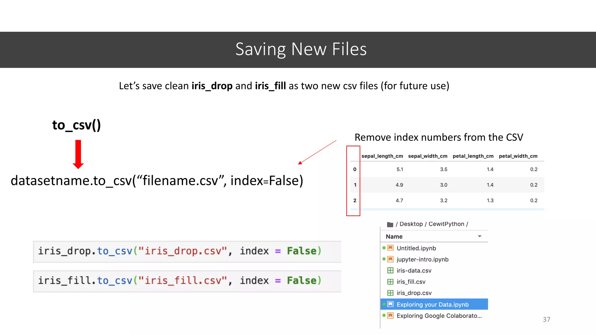 Saving New Files
37
Let’s save clean iris_drop and iris_fill as two new csv files (for future use)
to_csv()
datasetname.to_csv(“filename.csv”, index=False)
Remove index numbers from the CSV
 