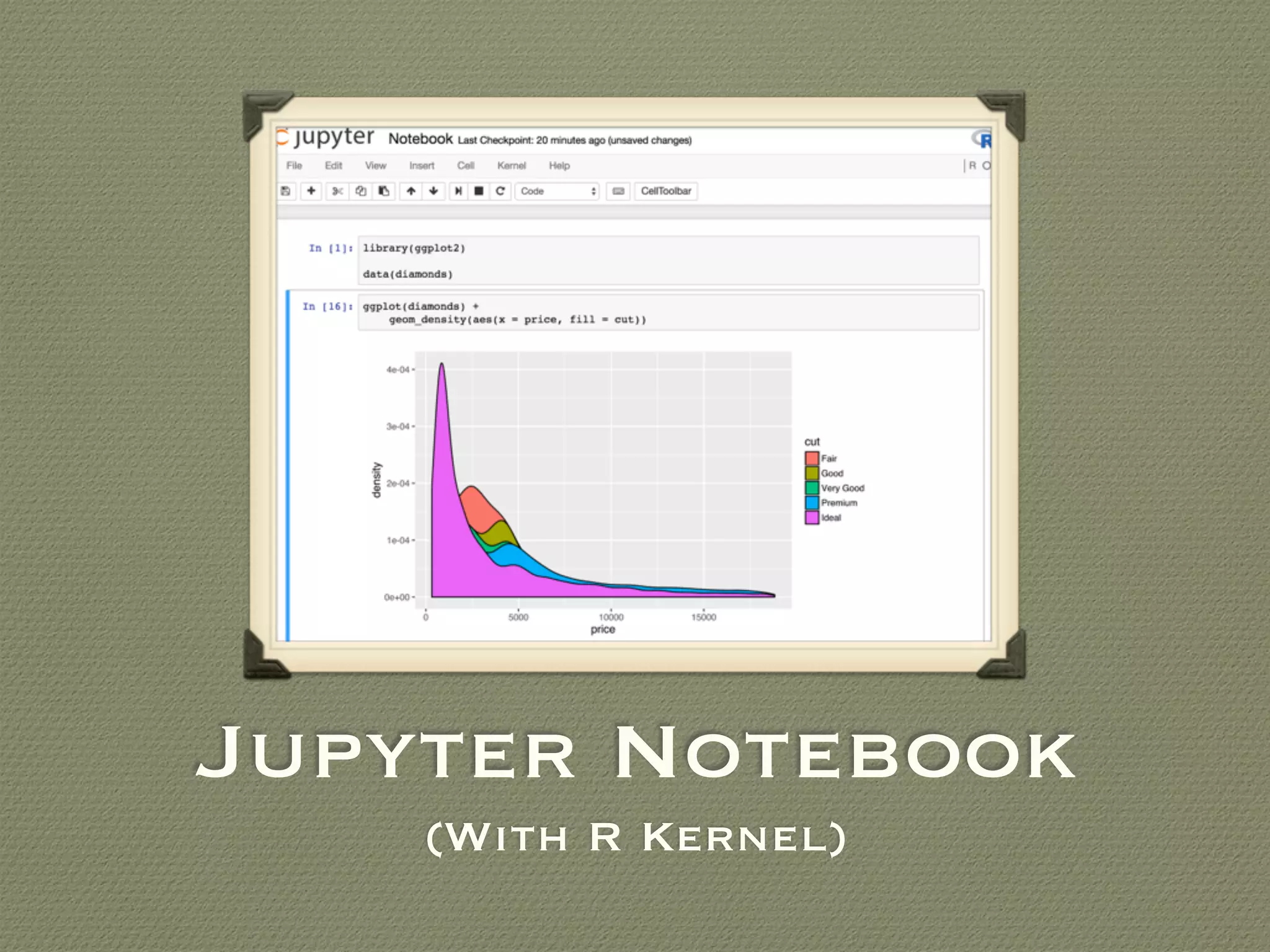 Jupyter Notebook
(With R Kernel)
 