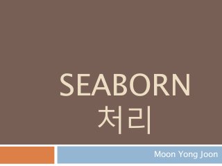 SEABORN
처리
Moon Yong Joon
 