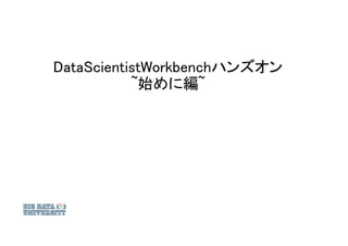 DataScientistWorkbenchハンズオン
~始めに編~
 