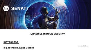 www.senati.edu.pe
INSTRUCTOR:
Ing. Richard Lévano Castilla
JURADO DE OPINION EJECUTIVA
 
