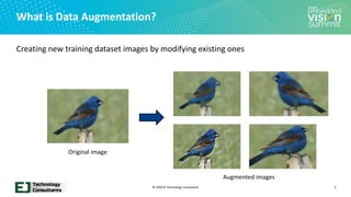 “Practical Image Data Augmentation Methods for Training Deep Learning ...
