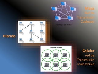 Maya
Red de
Transmisión
Cableado
Hibrido
Celular
red de
Transmisión
Inalambrica
 
