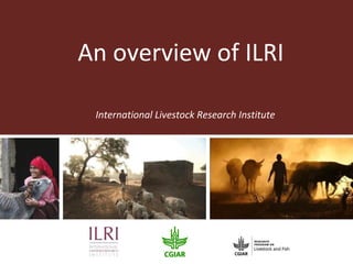 An overview of ILRI

 International Livestock Research Institute
 
