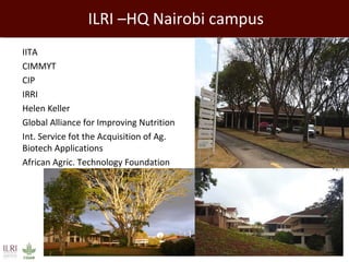 An overview of ILRI