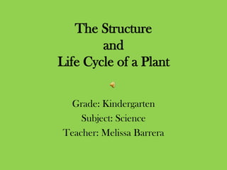The Structure
        and
Life Cycle of a Plant

  Grade: Kindergarten
    Subject: Science
Teacher: Melissa Barrera
 