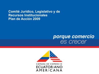 Comité Jurídico, Legislativo y de  Recursos Institucionales  Plan de Acción 2009 