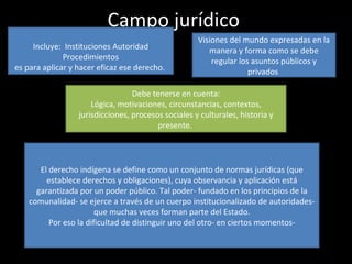 Campo jurídico  Incluye:  Instituciones Autoridad Procedimientos es para aplicar y hacer eficaz ese derecho.  Visiones del mundo expresadas en la manera y forma como se debe regular los asuntos públicos y privados  El derecho indígena se define como un conjunto de normas jurídicas (que establece derechos y obligaciones), cuya observancia y aplicación está garantizada por un poder público. Tal poder- fundado en los principios de la comunalidad- se ejerce a través de un cuerpo institucionalizado de autoridades-  que muchas veces forman parte del Estado.  Por eso la dificultad de distinguir uno del otro- en ciertos momentos- Debe tenerse en cuenta: Lógica, motivaciones, circunstancias, contextos, jurisdicciones, procesos sociales y culturales, historia y presente.  