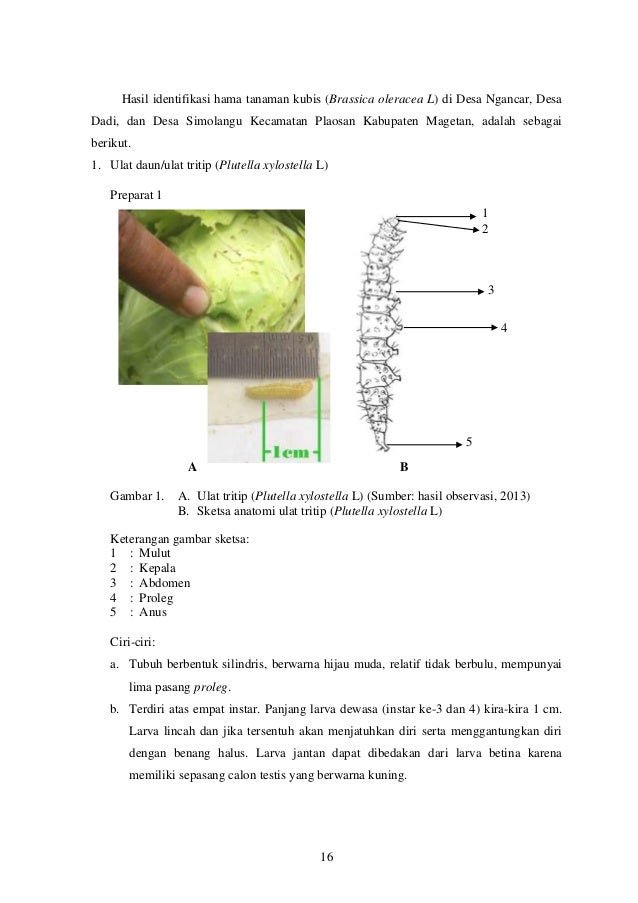 Jurnal 42373122