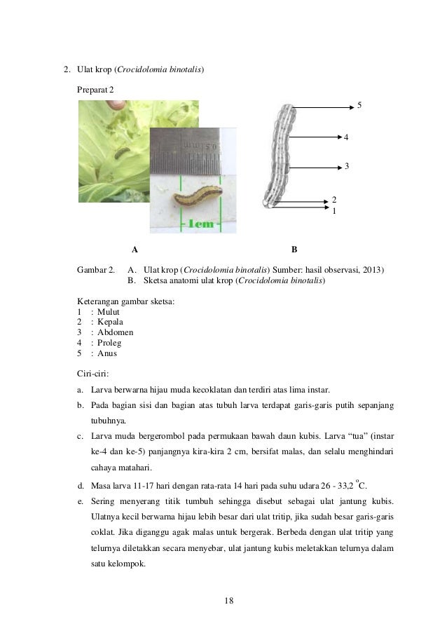Jurnal 42373122