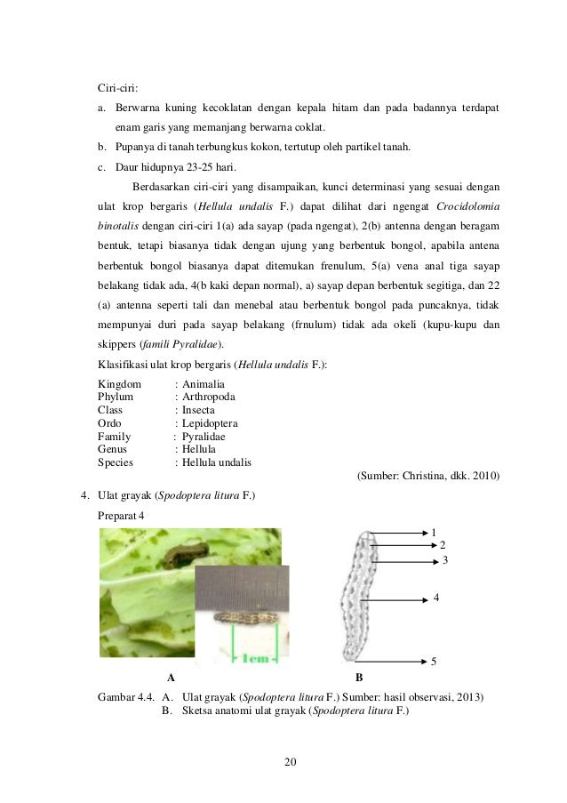 Jurnal 42373122