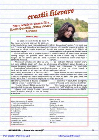 Aninoasa Jurnal de Vacanta- numarul 2